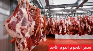 ارتفاع طفيف.. اسعار اللحوم اليوم الأحد 30 نوفمبر 2025 داخل السوق المحلي ومنافذ البيع الحكومية المختلفة